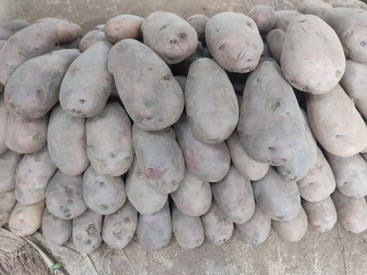 Violet Irish potatoe